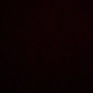 Meet your Posher, Donell